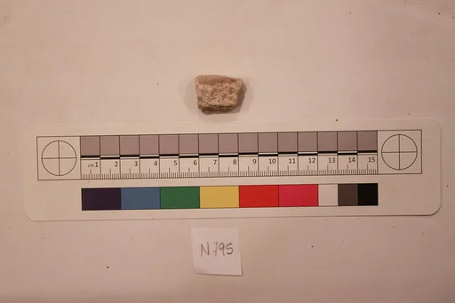 Stucco Fragment