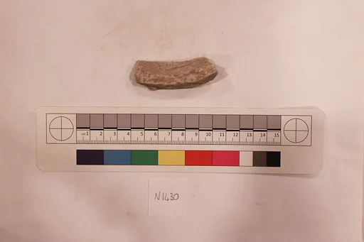Stucco Fragment