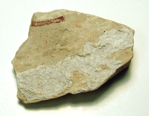 Wall casing
