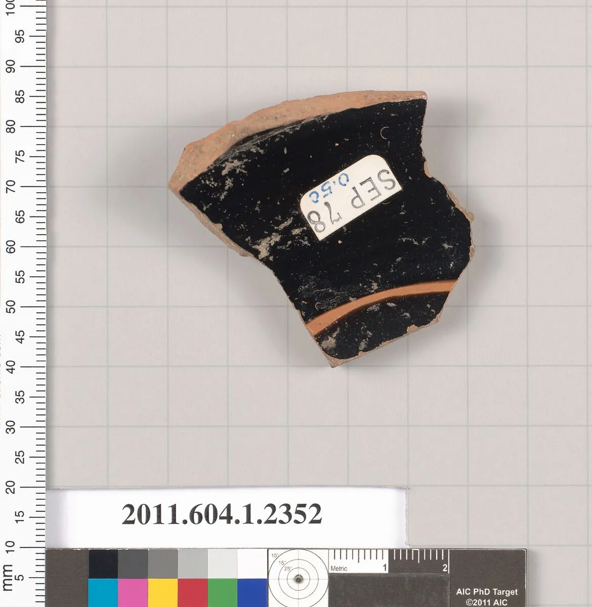 Terracotta fragment of a kylix (drinking cup) — Unknown