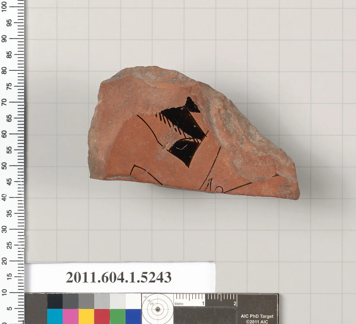 Terracotta fragment of a kylix (drinking cup) — Unknown