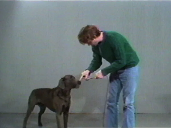 Starter — William Wegman