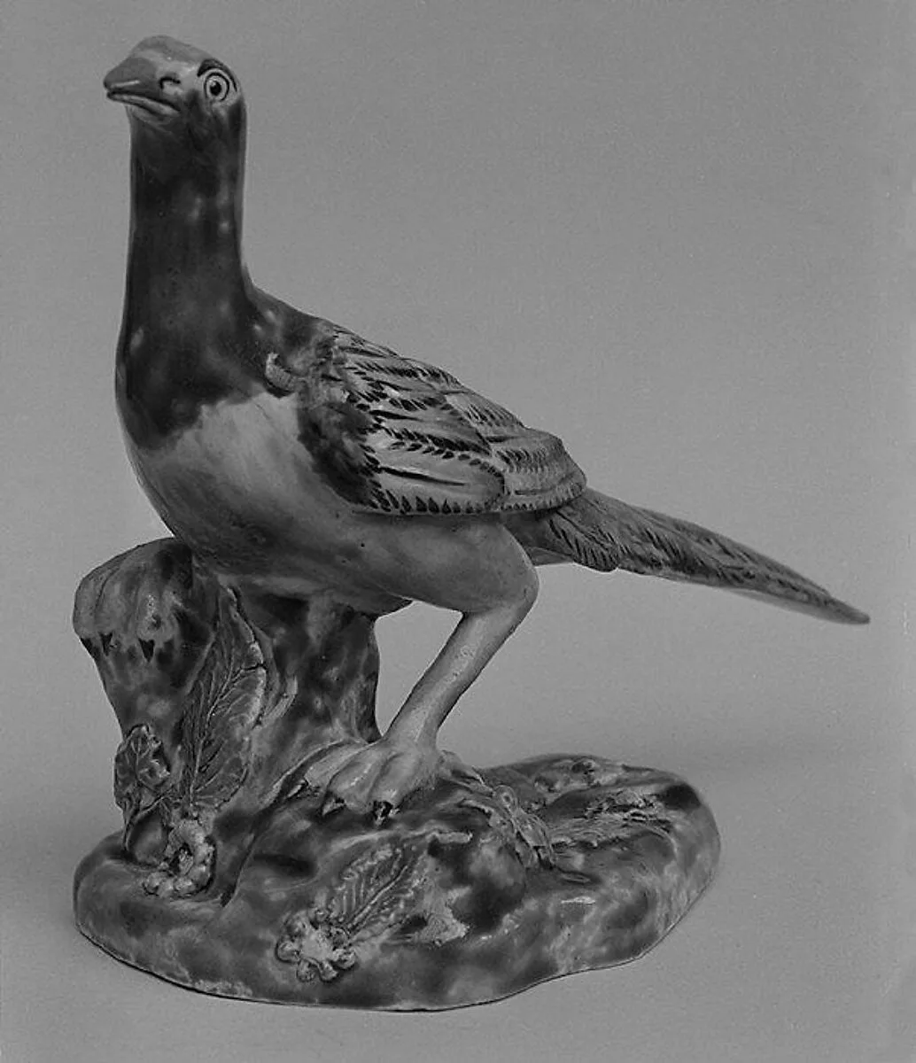 Pheasant — Unknown