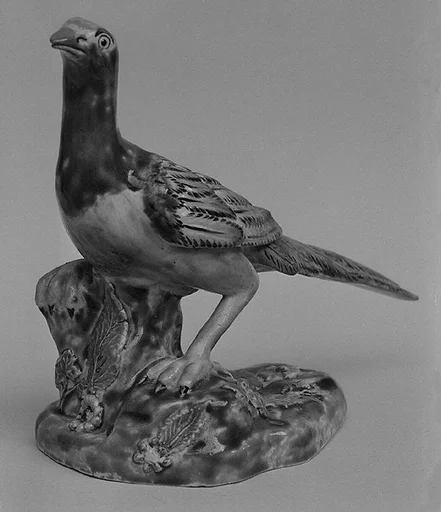 Pheasant