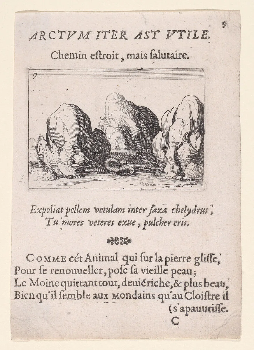 Le Serpent (The Serpent), from Lux Claustri ou La Lumière du Cloitre (The Light of the Cloisters), plate 9 — Jacques Callot|François Langlois