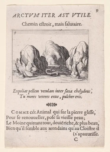 Le Serpent (The Serpent), from Lux Claustri ou La Lumière du Cloitre (The Light of the Cloisters), plate 9