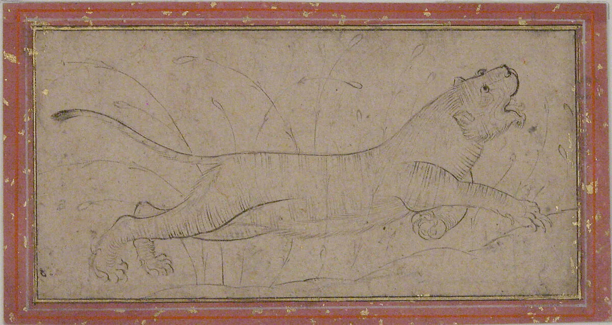 Lion — Unknown