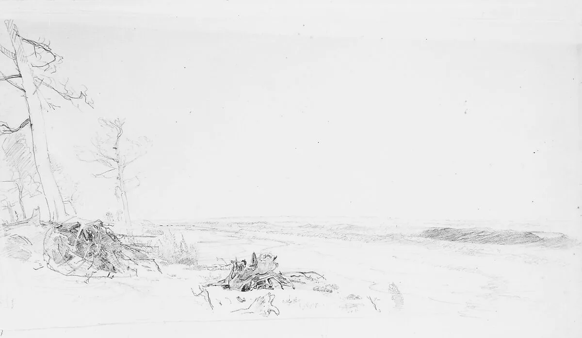 Cedar Trees near Atlantic City — William Trost Richards