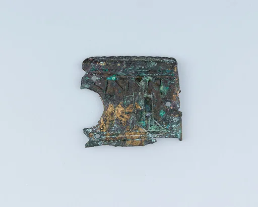 Buckle Shank