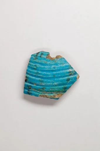 Vase fragment