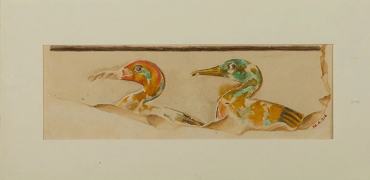 Two Ducks — Hugh R. Hopgood
