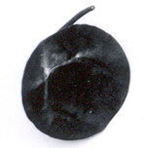 Disk ornament