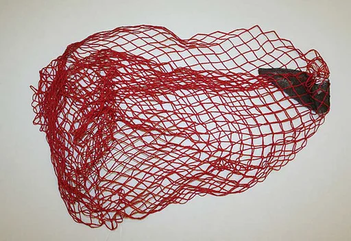 Snood