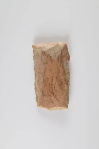 Sickle Insert