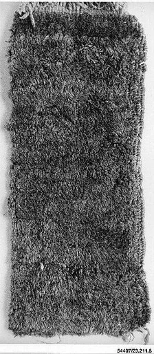 Carpet Fragment