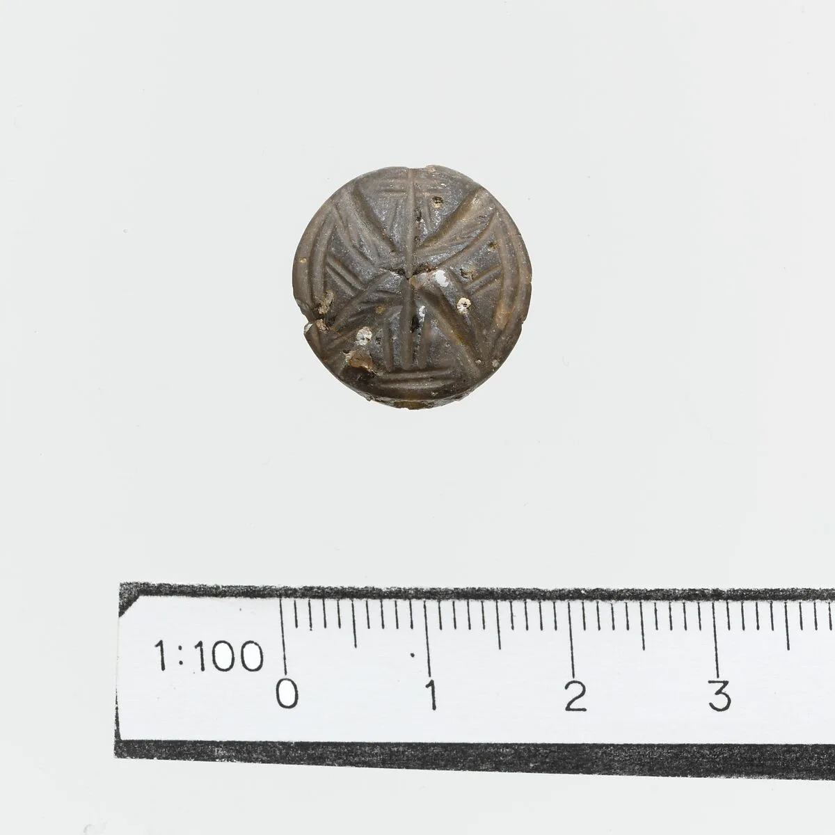 Seal — Unknown