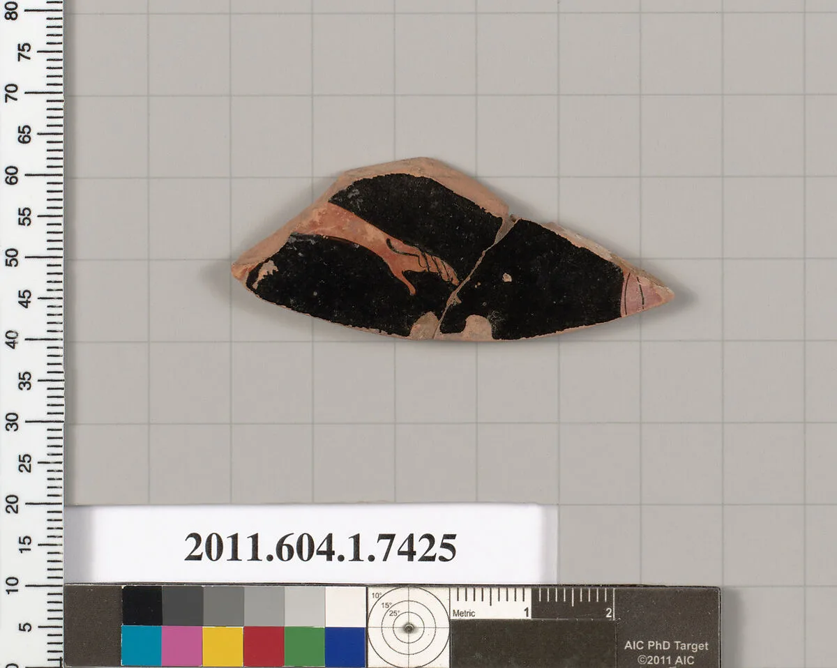 Terracotta fragment of a kylix (drinking cup) — Unknown