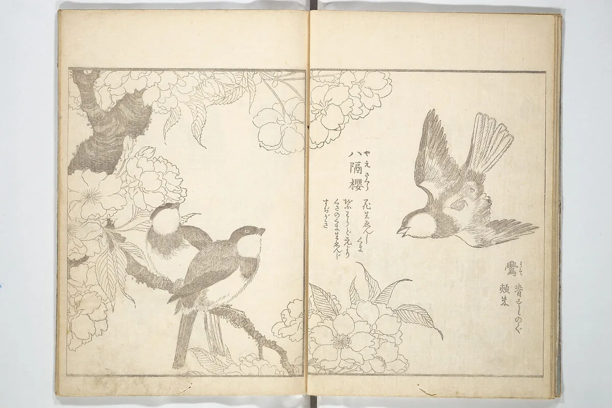 花鳥写真図彙; 花鳥写真図会(かちょうえ しゃしん ずえ)|True Depictions of Bird and Flower Pictures (Kachōe shashin zui) 花鳥写真図彙; 花鳥写真図会(かちょうえ しゃしん ずえ) — Kitao Shigemasa 北尾重政