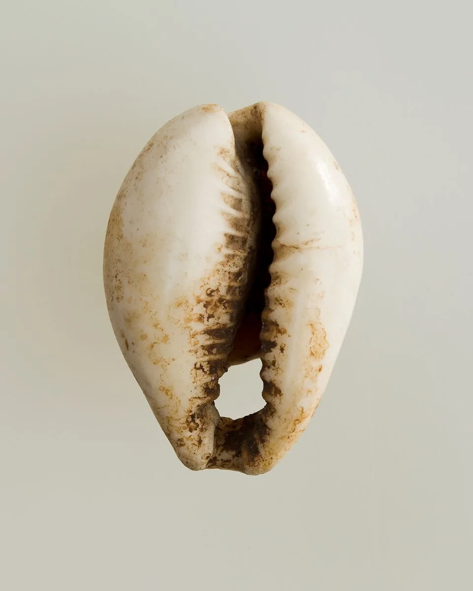 Shell pendant or bead — Unknown