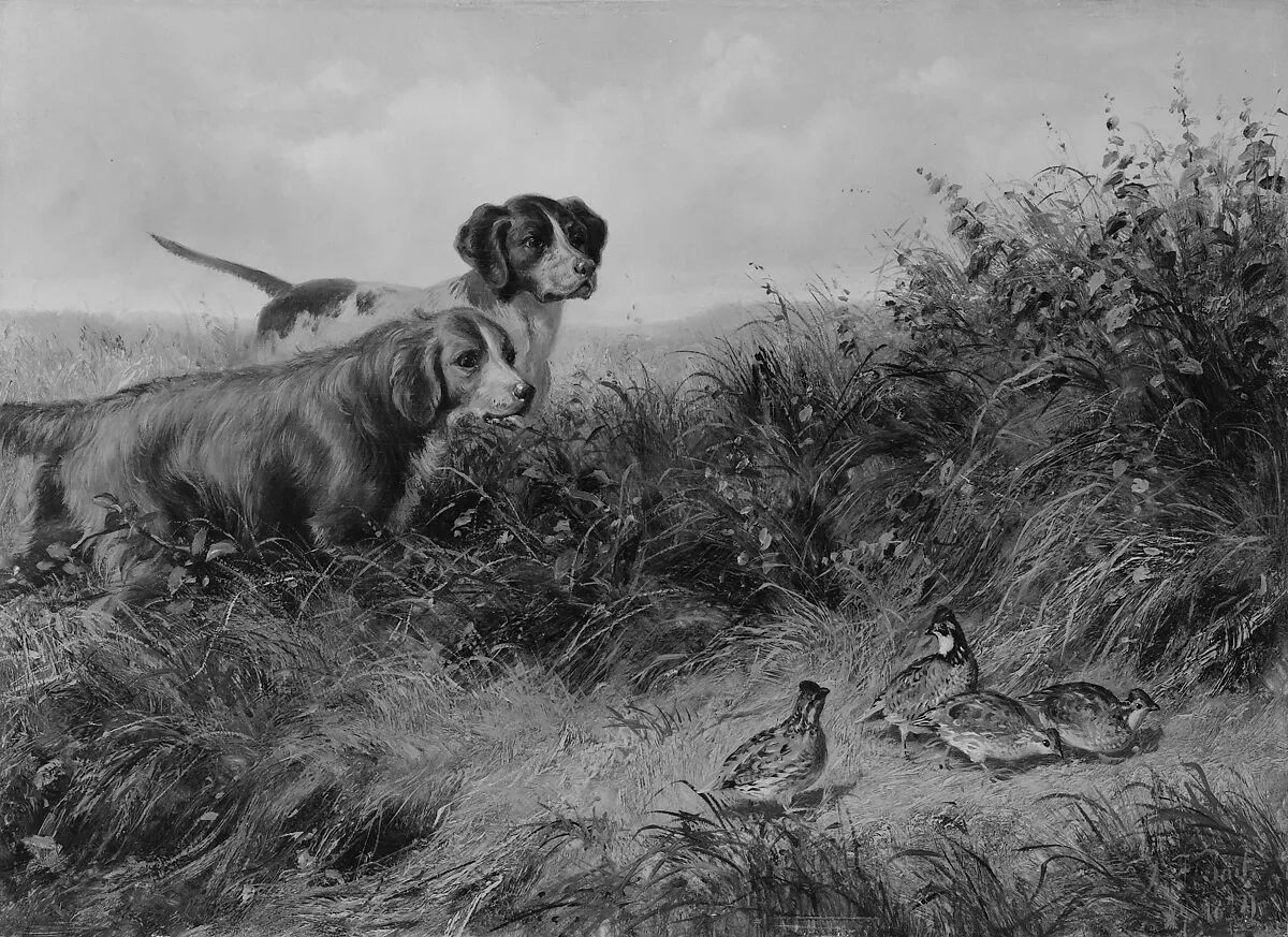 On Point — Arthur Fitzwilliam Tait