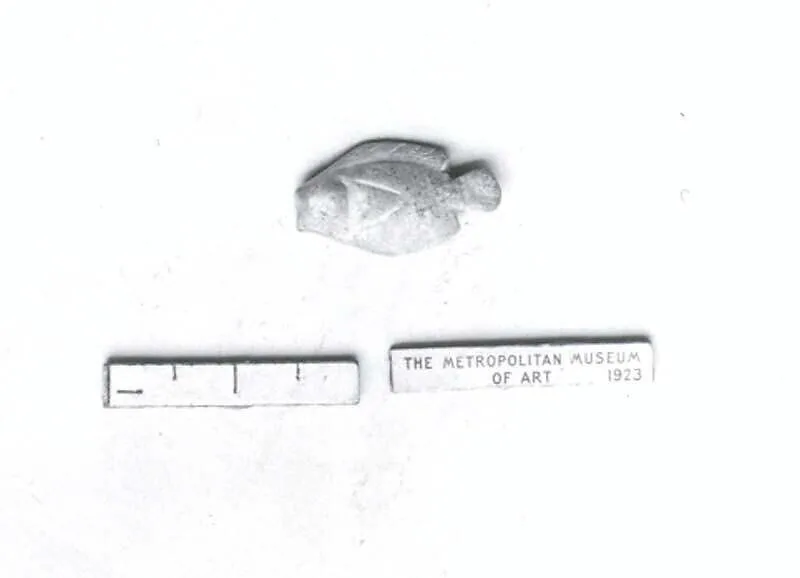 Fish amulet — Unknown