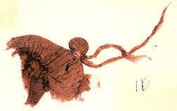 Textile fragment — Unknown
