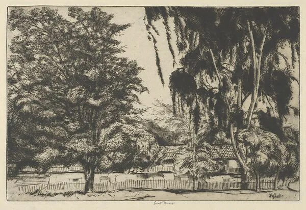 Castro House — Ernest Haskell