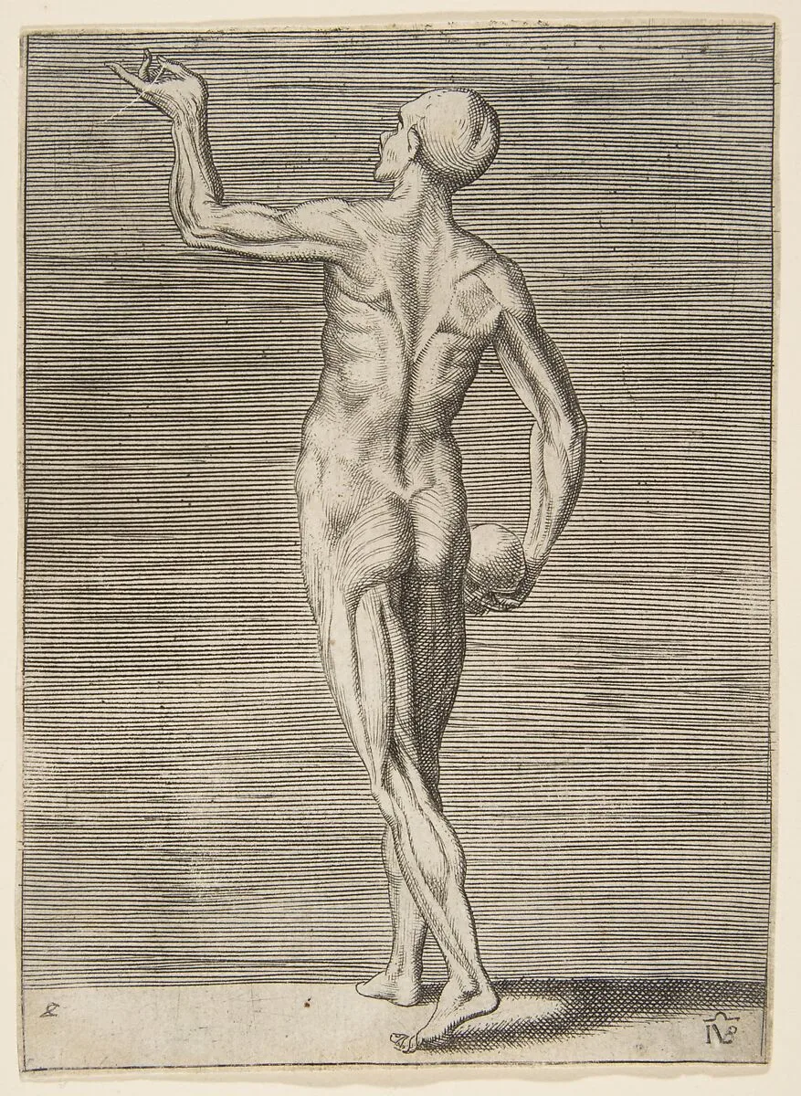 Man seen from the Back, holding a Skull in his right Hand — Giulio Bonasone