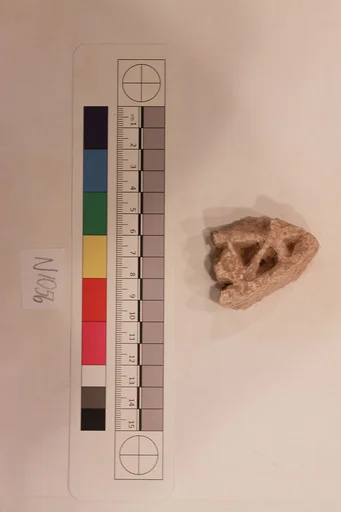 Stucco Fragment