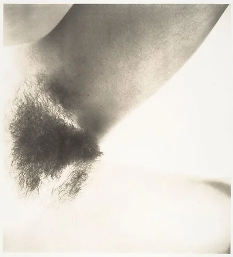 Nude No. 45