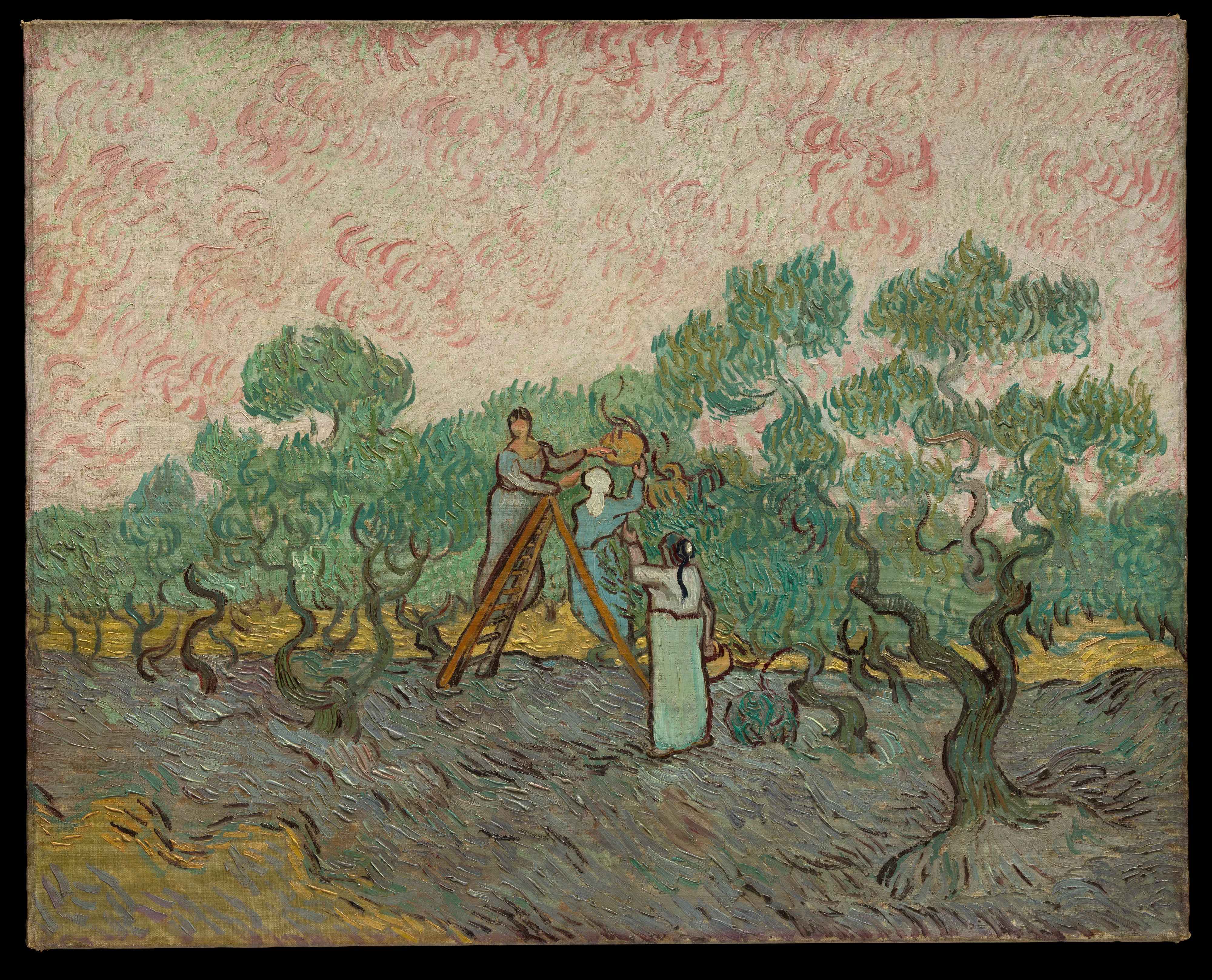 Women Picking Olives — Vincent van Gogh