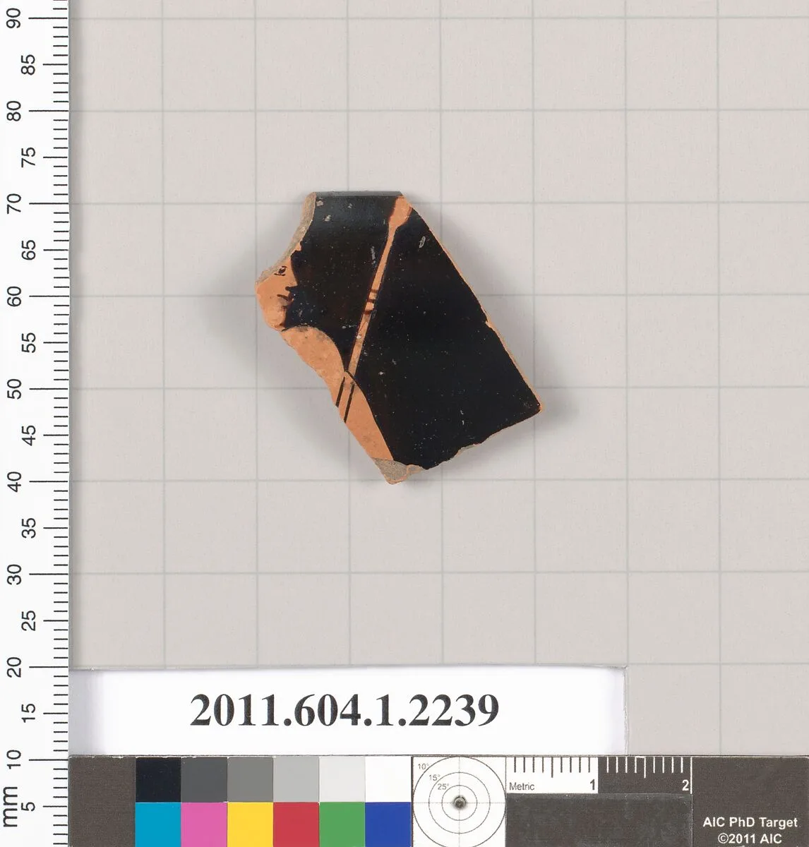Terracotta rim fragment of a kylix (drinking cup) — Unknown