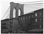 [View of Brooklyn Bridge Behind Tenement Houses]