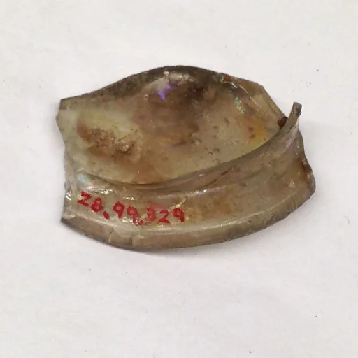 Fragment