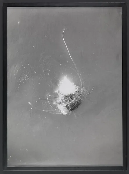 Untitled (8) — Mike Kelley