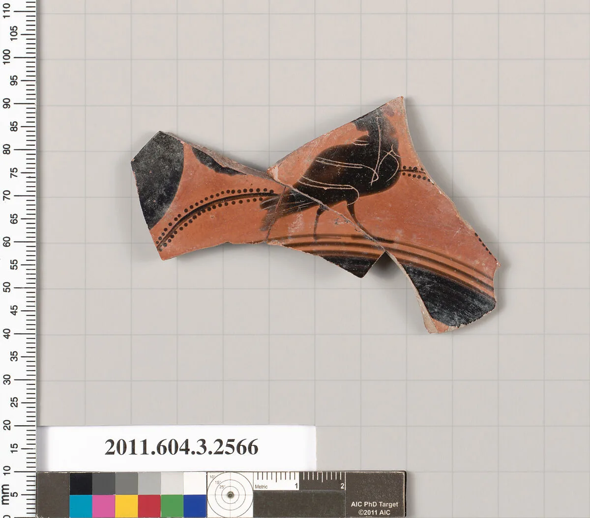 Terracotta fragment of a kylix: eye-cup (drinking cup) — Unknown