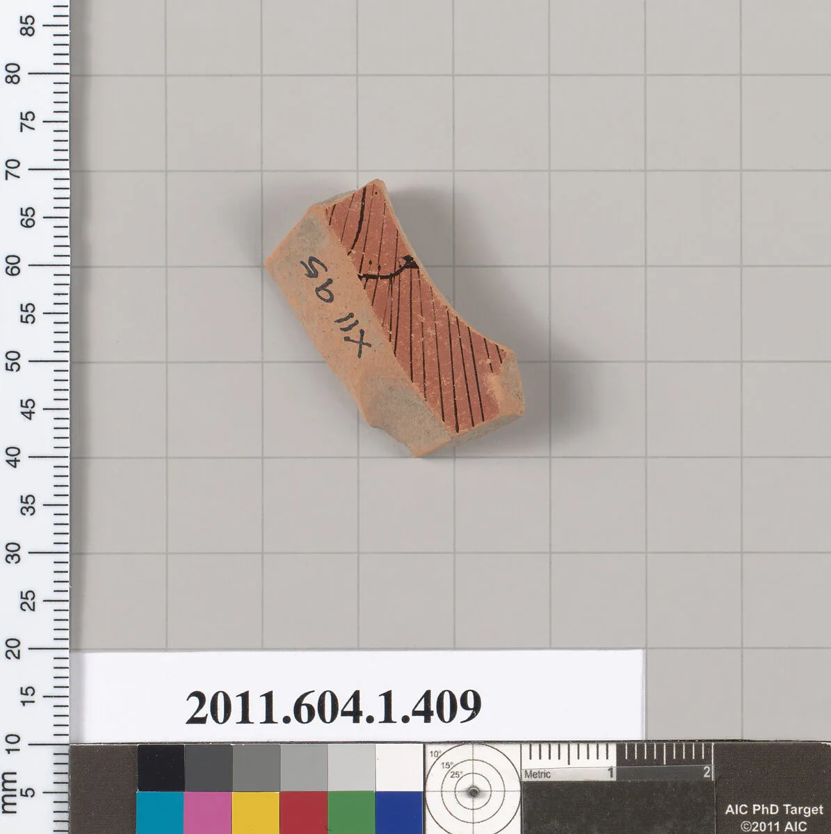 Terracotta fragment of a kylix (drinking cup) — Unknown