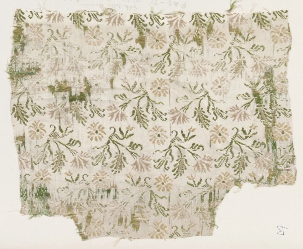 Fragment — Unknown