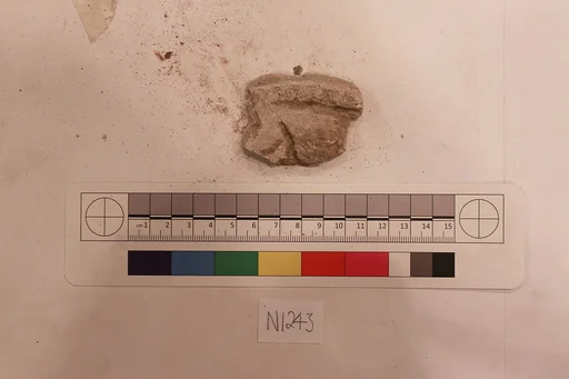 Stucco Fragment
