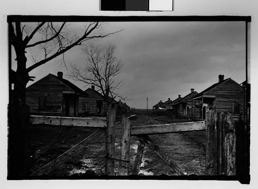 [Two Rows of Wooden Houses Behind Gate, New Orleans Vicinity, Louisiana]