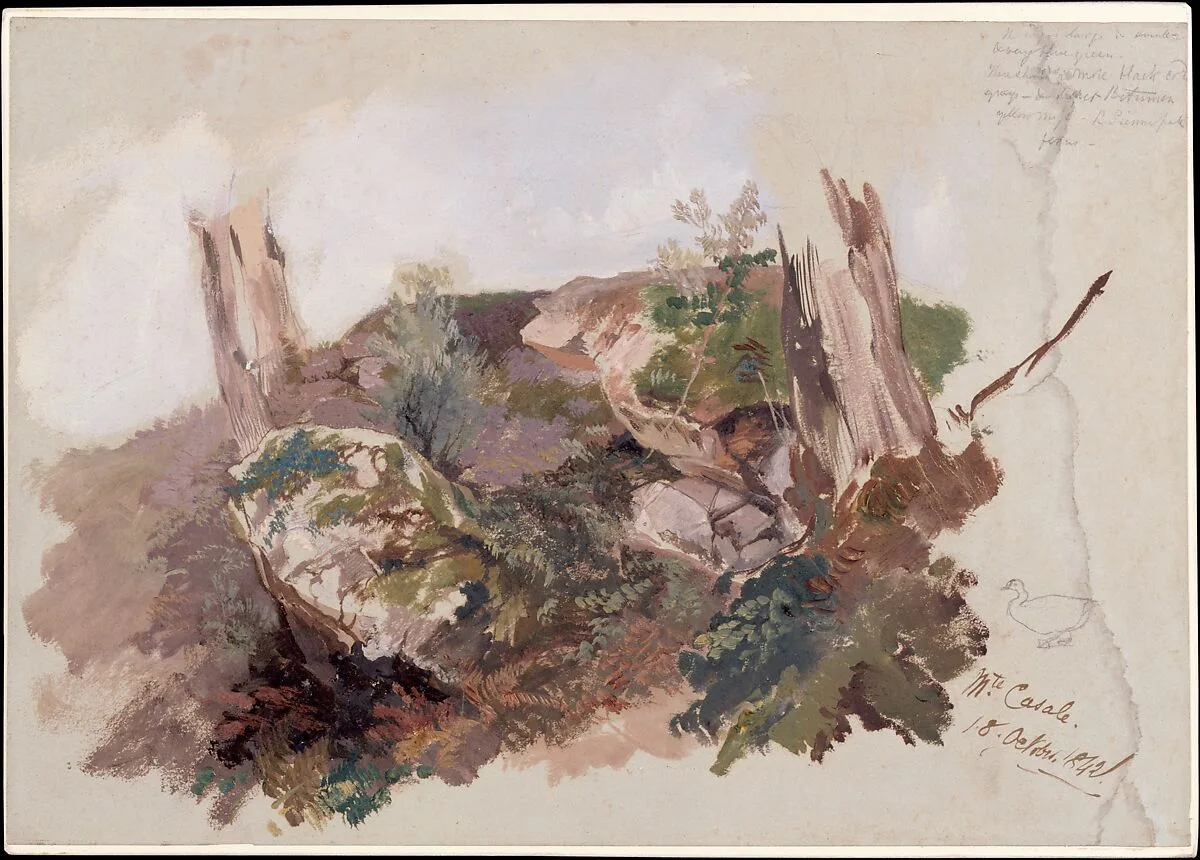 Study of Rocks, Shrubs, and Tree Trunks at Monte Casale near Sansepolcro, Tuscany — Edward Lear