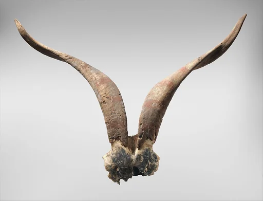 Bucranium