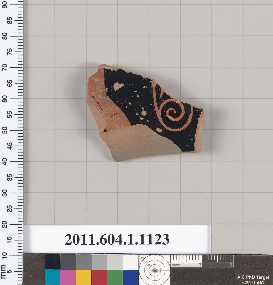 Terracotta fragment of a kylix (drinking cup) — Unknown
