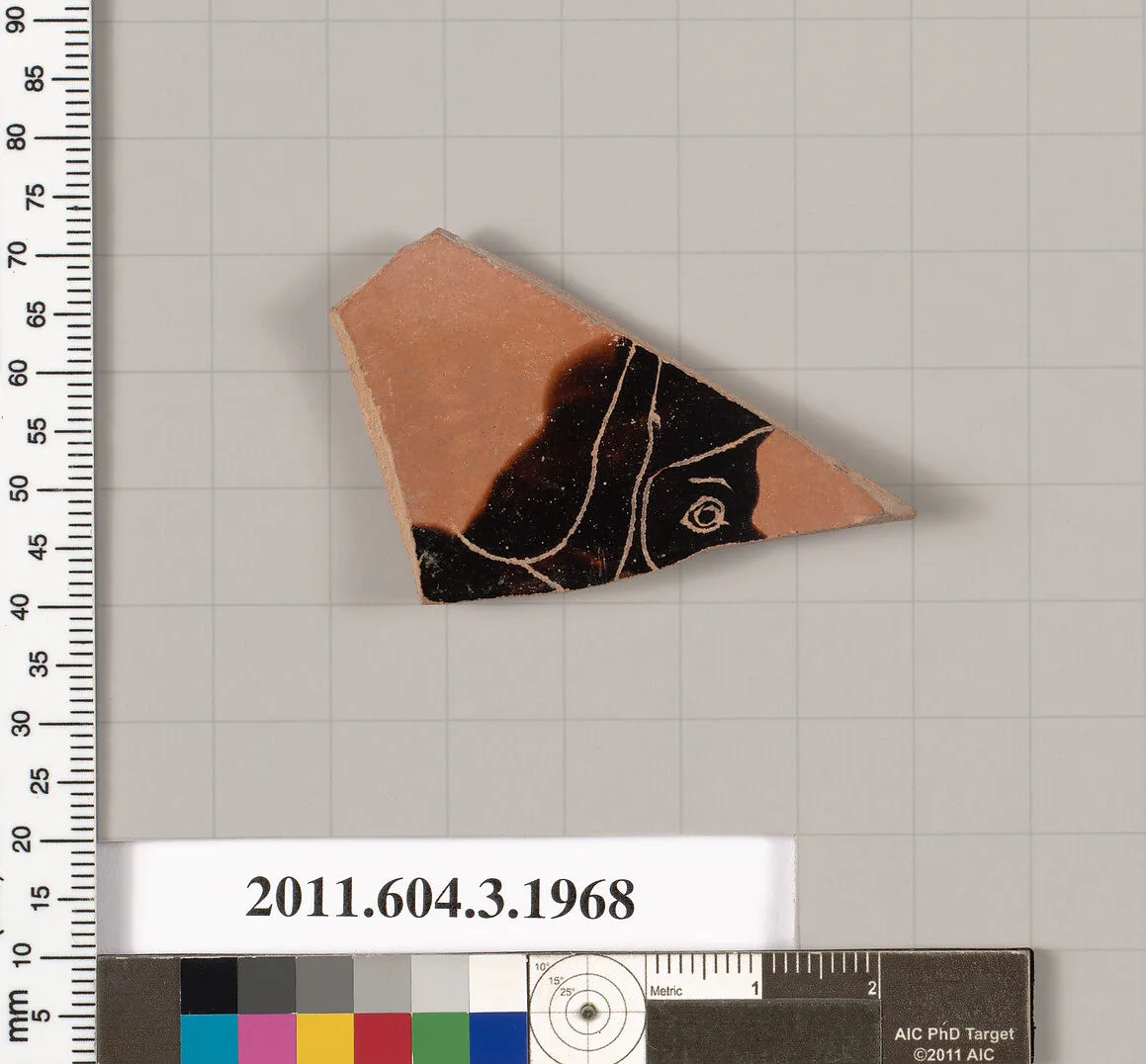 Terracotta fragment of a kylix (drinking cup) — Unknown