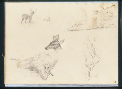 Sketchbook of Landscape and Animal Subjects
