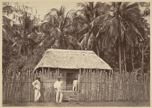 Tropical Scenery, Native Hut, Turbo