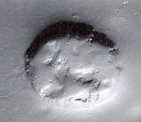 Stamp seal (scaraboid) with animal