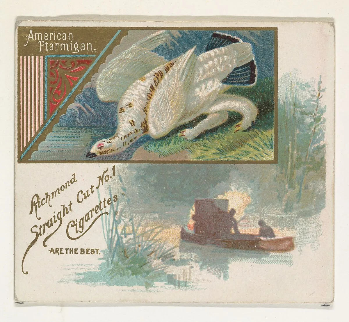 American Ptarmigan, from the Game Birds series (N40) for Allen & Ginter Cigarettes — Allen & Ginter