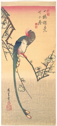 梅に三光鳥|Bird on a Plum Branch