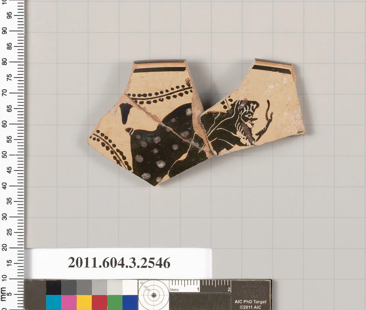 Terracotta rim fragment of a kylix (drinking cup) — Unknown